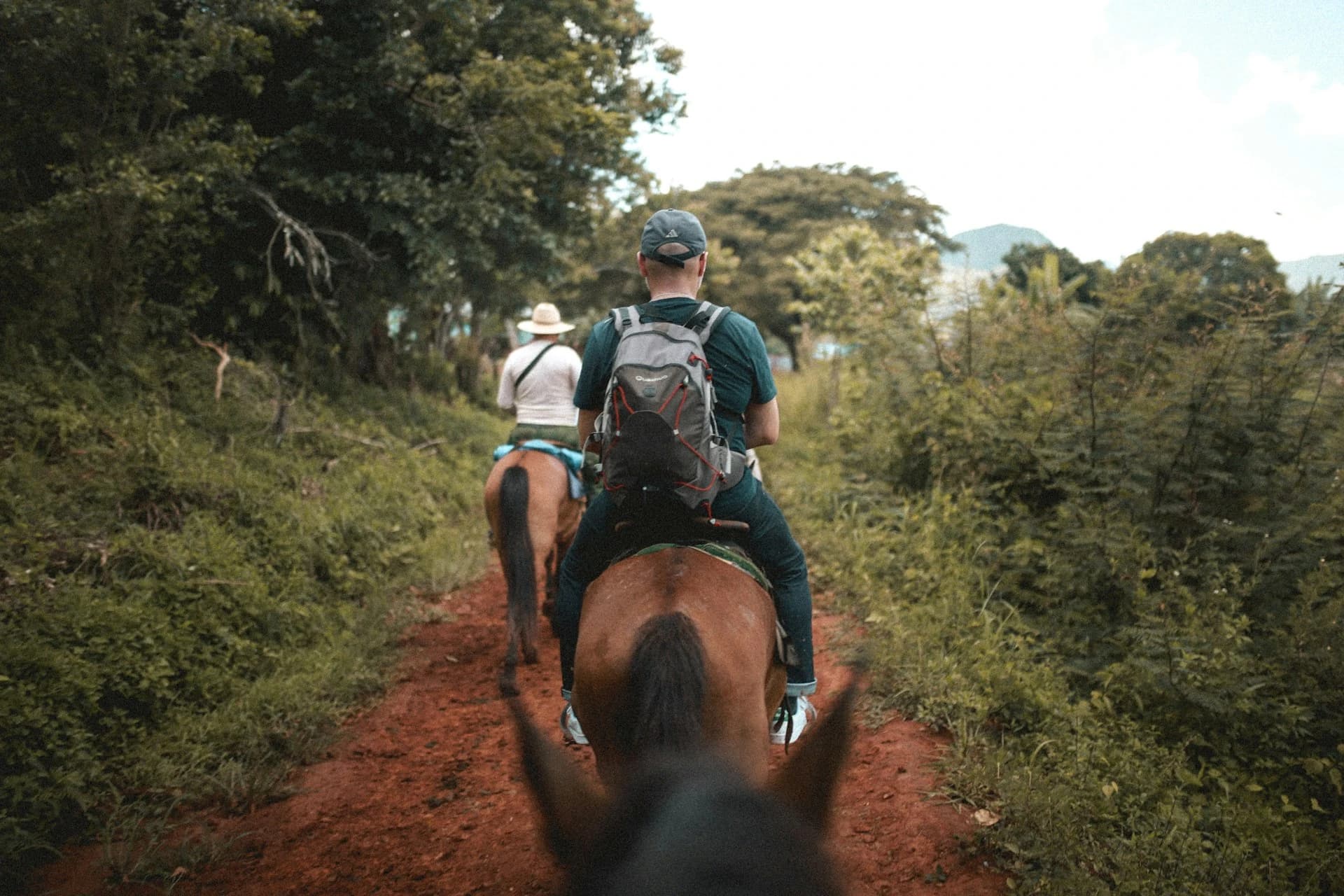 Rider on a criollo horse on a green mountain trail above the Aburrá Valley outside Medellín